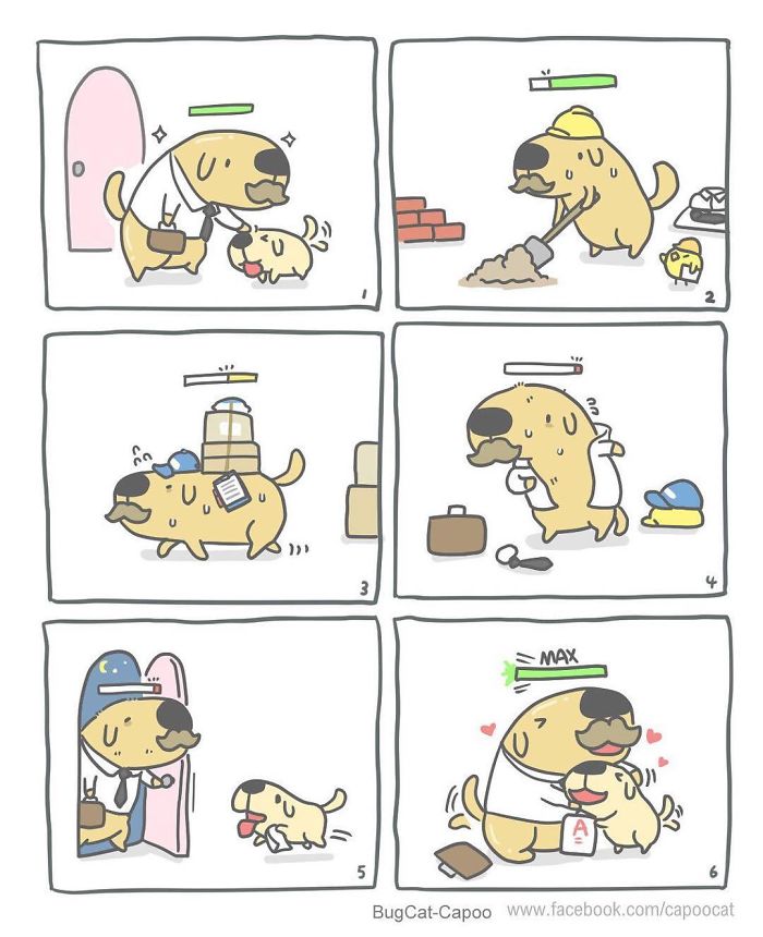 Bugcat Capoo ¿Qué es? ¿Dónde comprar souvenirs?