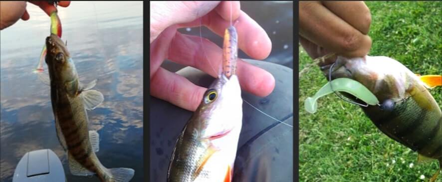 señuelos pesca Meredith