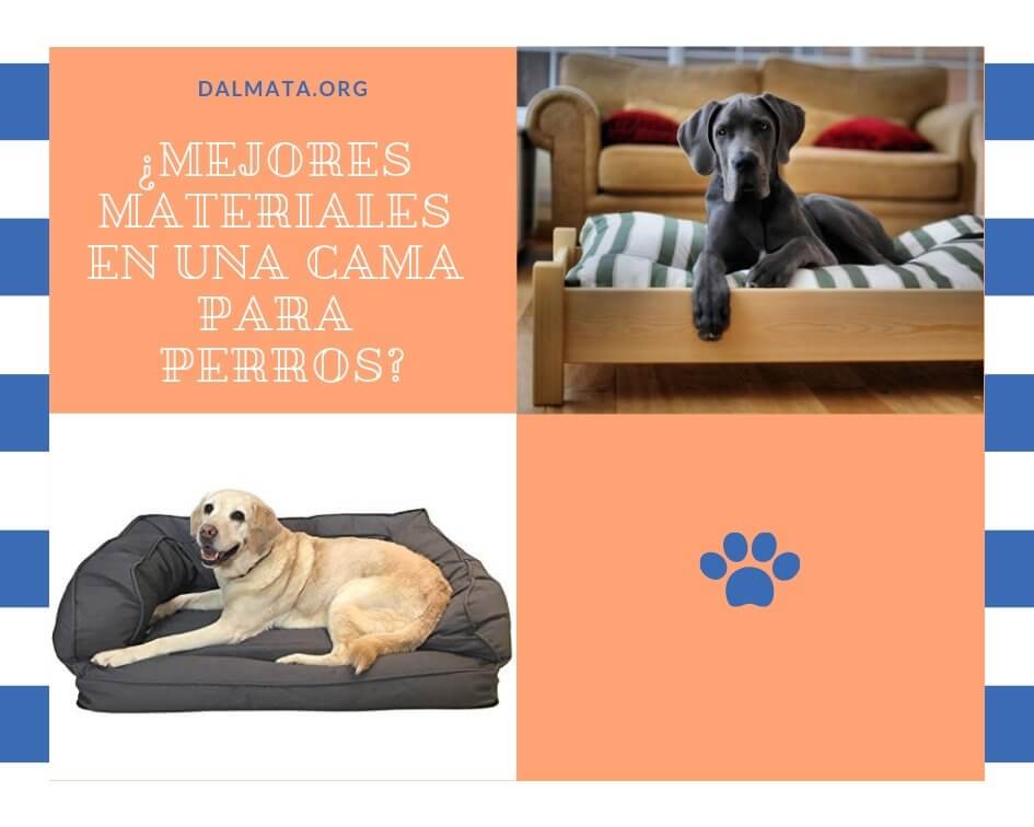 cama para perros grandes